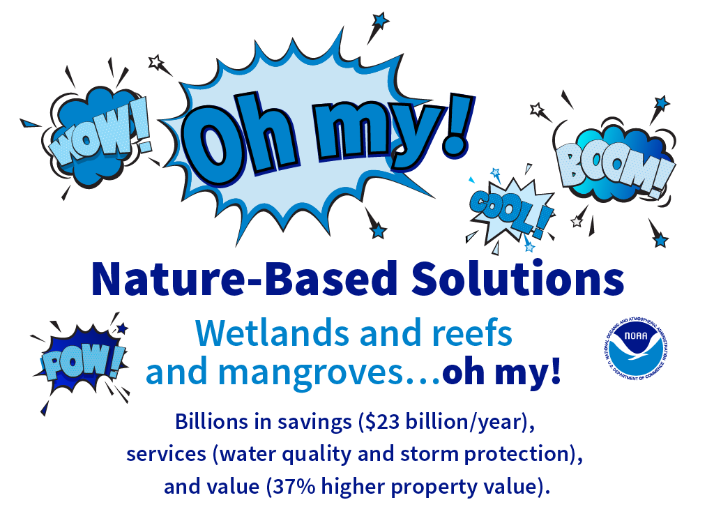 Natural Infrastructure graphic